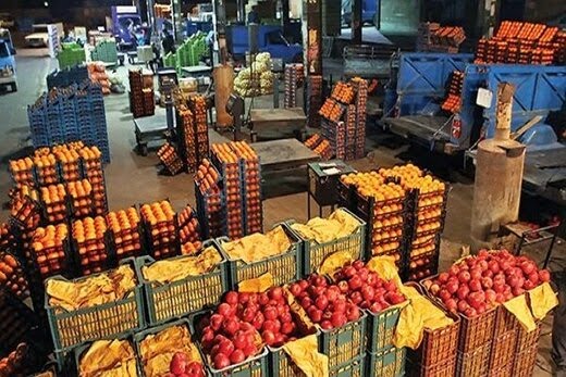 ممنوعیت صادرات سیب و پرتقال/ واردات میوه و سایر کالاهای اساسی