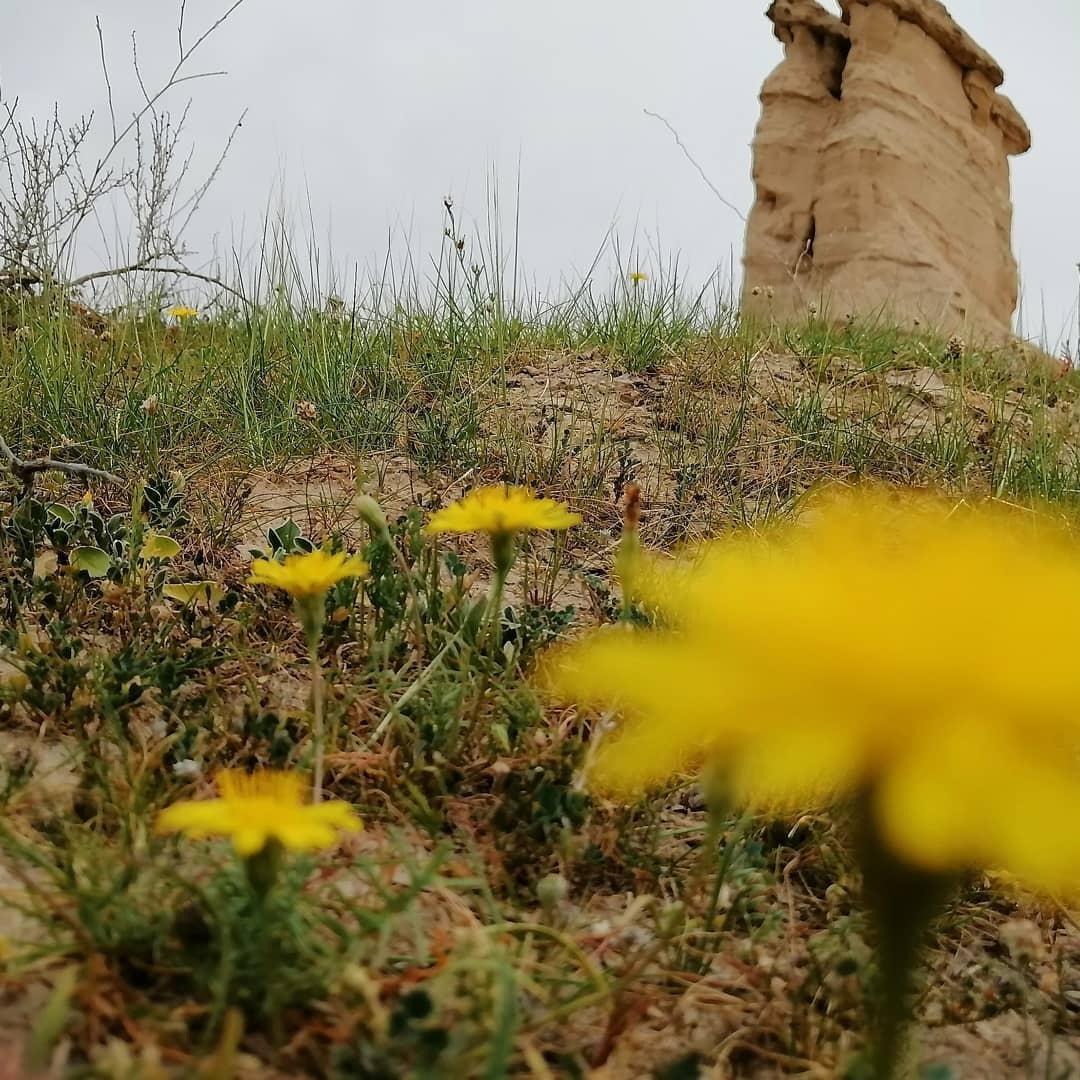 کلات‌های کوه مند روستای چاوشی