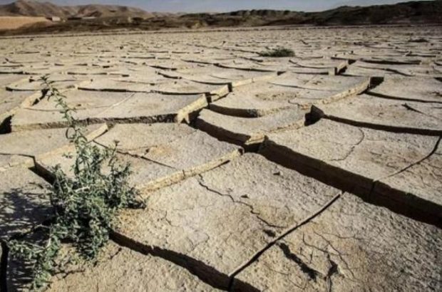 بُخل آسمان بر زمین بوشهر، امسال دریغ از پارسال