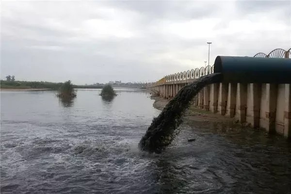 ورود فاضلاب شهری به دریا در بوشهر / صادرکنندگان میگو: محصولاتمان به‌دلیل آلودگی به فاضلاب شهری پس فرستاده می‌شوند