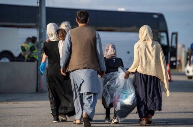 آمار عجیب بازگشت اتباع افغان به بوشهر