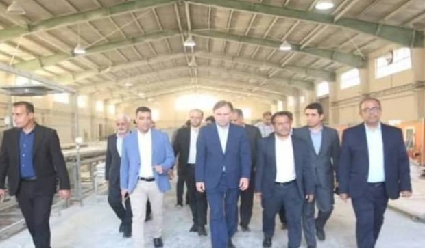 استاندار بوشهر از منطقه ویژه اقتصادی بوشهر بازدید کرد
