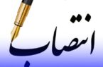 ۸ انتصاب جدید در استانداری بوشهر/ حسین طهماسبی معاون سیاسی، امنیتی و اجتماعی فرمانداری دشتی شد
