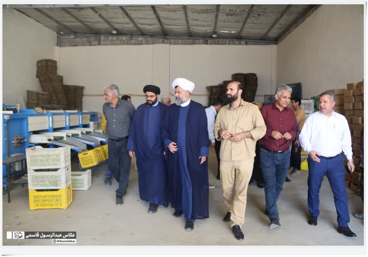 تأکید امام جمعه شهرستان دشتی بر پشتیبانی از تولید و کارآفرینی در مناطق روستایی