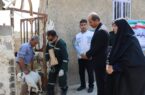 واکسیناسیون ۳۳۰ راس دام سبک در دشتی در قالب طرح «چهارشنبه‌های وفاق» انجام شد