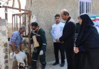 واکسیناسیون ۳۳۰ راس دام سبک در دشتی در قالب طرح «چهارشنبه‌های وفاق» انجام شد