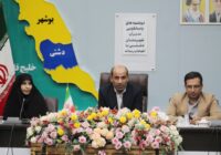 فرماندار دشتی؛ هیچ‌یک از پروژه‌های حوزه راه متوقف نیست و همگی فعال هستند