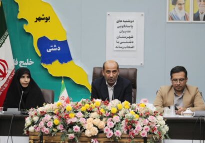 فرماندار دشتی؛ هیچ‌یک از پروژه‌های حوزه راه متوقف نیست و همگی فعال هستند