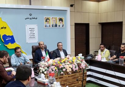 نمایشگاه بانوی آفتاب در دشتی گشایش می‌یابد