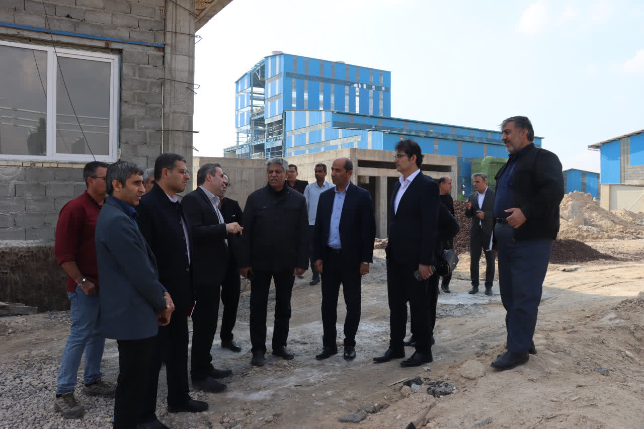 فرماندار دشتی بر تسریع در رفع موانع تولید به ویژه مشکل برق کارخانه فروسیلیس تأکید کرد