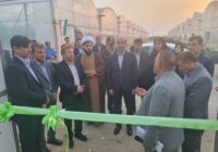 افتتاح طرح گلخانه‌ای در بخش کاکی با اعتبار ۱۲۰ میلیارد ریال