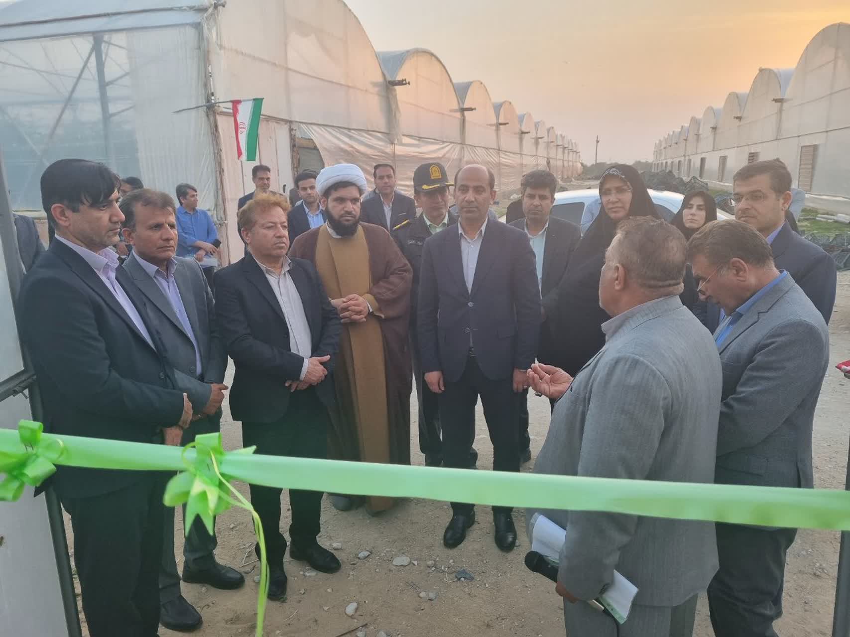 افتتاح طرح گلخانه‌ای در بخش کاکی با اعتبار ۱۲۰ میلیارد ریال