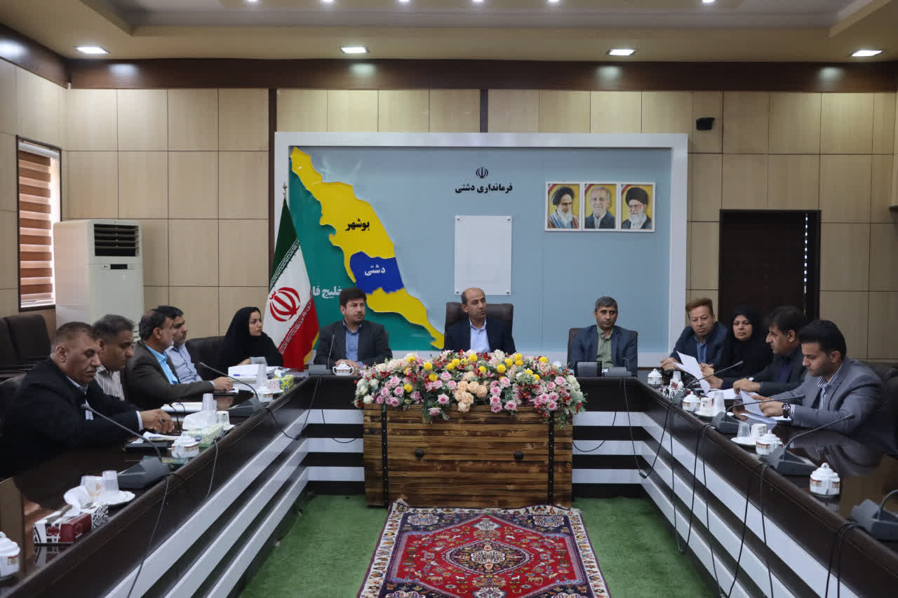 فرماندار دشتی گفت: ساماندهی سواحل با رویکرد ایمنی و توسعه گردشگری دنبال شود