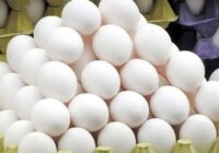 عرضه تخممرغ در شهرستان دشتی به صورت کیلویی شد/ ممنوعیت فروش دانهای و شانهای تخممرغ در شهرستان دشتی