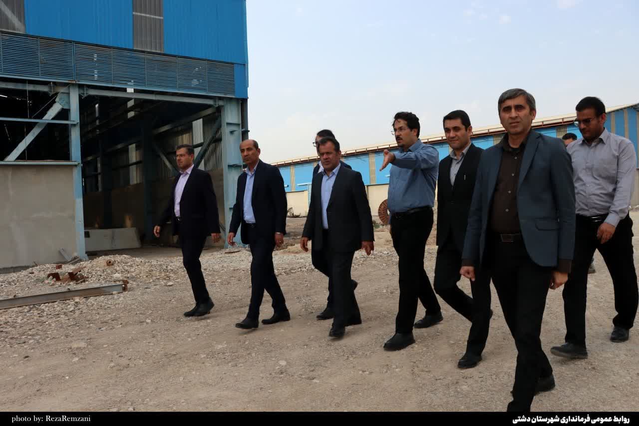 تاکید معاون اقتصادی استاندار بوشهر بر رفع موانع تولید واحدهای بزرگ تولیدی