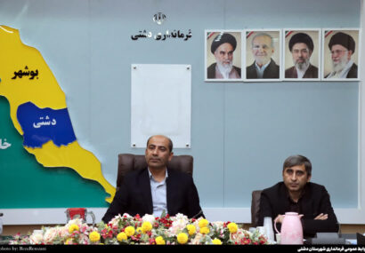 فرماندار دشتی بر تقویت برنامه‌های پیشگیری از خودکشی و طلاق تأکید کرد