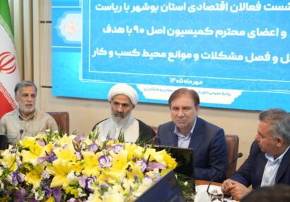 استاندار بوشهر: شفافیت و تسریع در انجام امور از مزایای دولت الکترونیک است